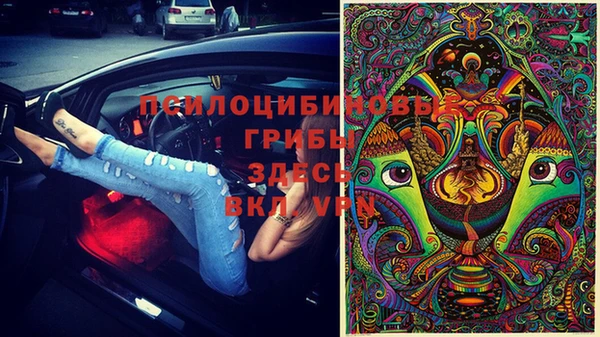 спиды Белокуриха