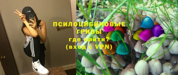 спиды Белокуриха